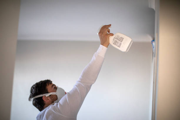 Best Best Mold Removal Companies  in Richland, PA