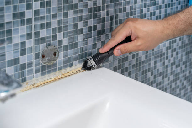 Best Certified Mold Removal  in Richland, PA