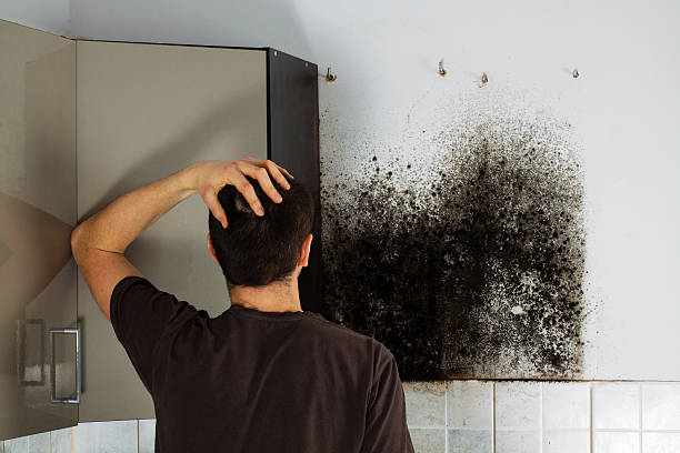 Best Mold Cleaning Services  in Richland, PA